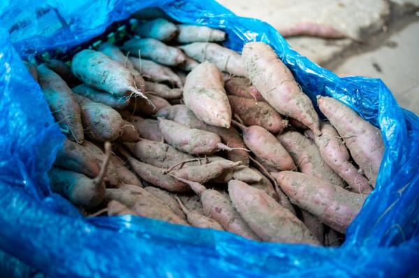 南沙十九湧漁人碼頭，週末好去處，海鮮和特產是否真便宜呢？