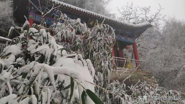 四人相約去終南山拜師學藝,大雪天道長如何考驗他們,誰會留下? 四人相約去終南山拜師學藝,大雪天道長如何考驗他們,誰會留下?