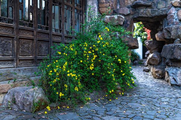 祖父、父親和醬香酒的故事