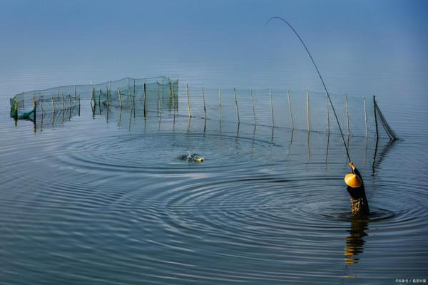 不同水情下該如何調漂?不要只用大跑鉛釣法了 不同水情下該如何調漂?不要只用大跑鉛釣法了