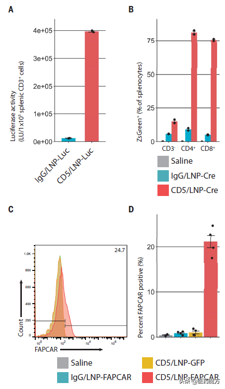 體內CAR-T！Science封面：注射mRNA直接生成CAR-T，有效修復心臟