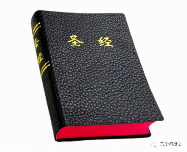 聖母的表率,罪犯的天堂 聖母的表率,罪犯的天堂