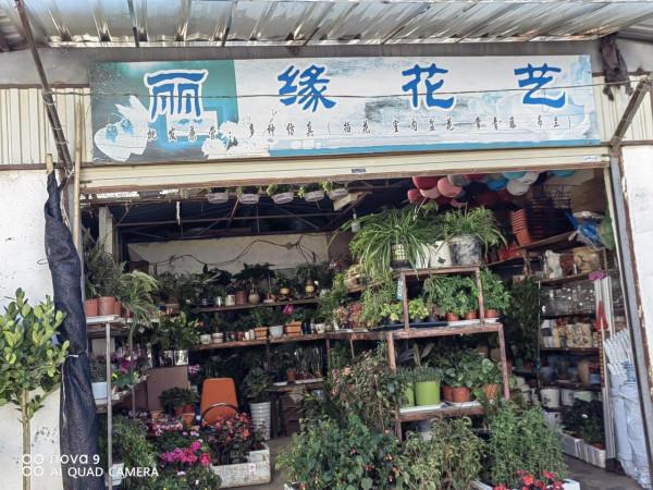 麗江古城昭慶市場