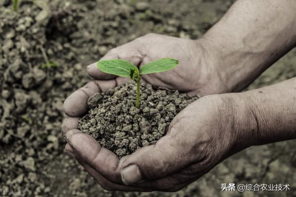 想讓土壤肥沃,就得提高土壤有機質含量,你知道如何提高有機質嗎 想讓土壤肥沃,就得提高土壤有機質含量,你知道如何提高有機質嗎