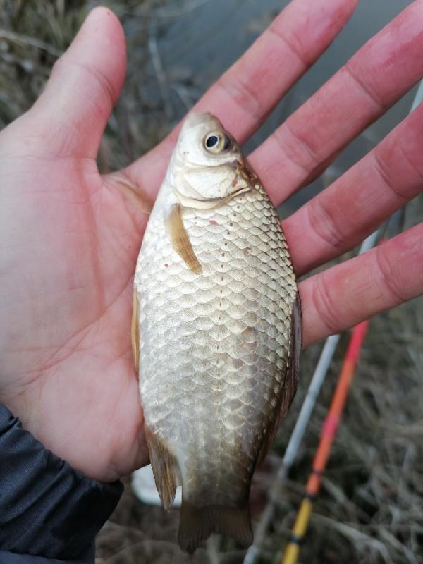 村裡小草塘也能爆桶？一起來看看