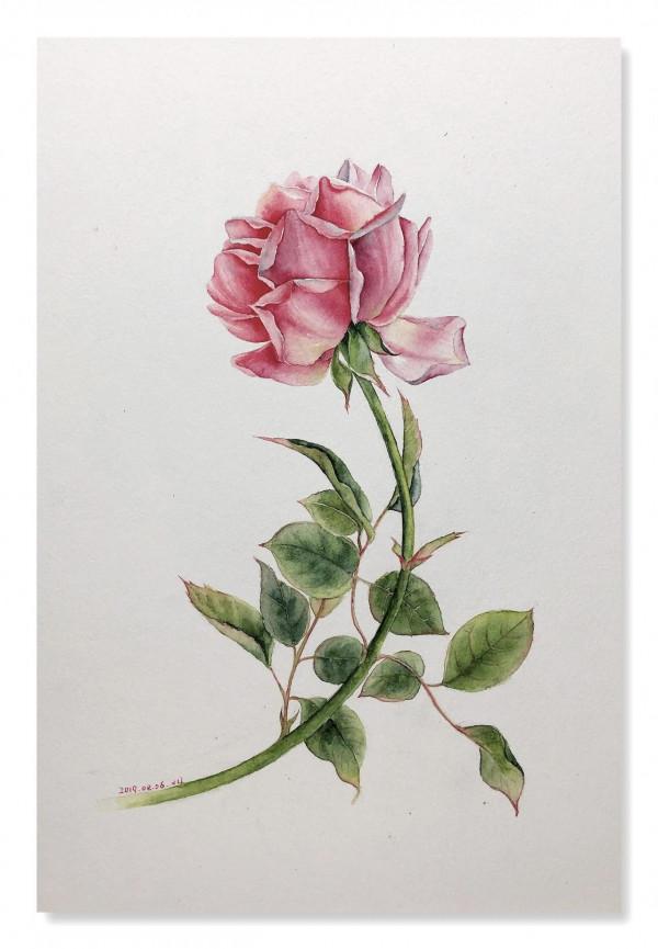 繪畫——因為熱愛所以堅持 繪畫——因為熱愛所以堅持