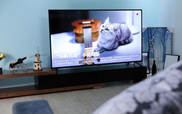 股價爆漲60%，只因會蹭，老牌彩電巨頭尚能飯否？