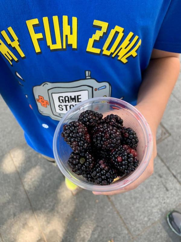 2019暑假塞爾維亞、波黑之旅（2）