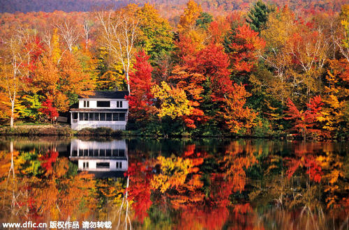 不瞭解加拿大？看完這15個知識點，就知道加拿大是個怎樣的國家了