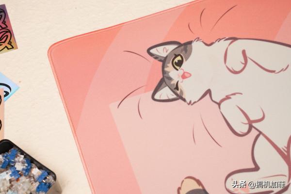 誰能想到滑鼠墊都這麼可愛,QPAD 萌寵滑鼠墊上手 誰能想到滑鼠墊都這麼可愛,QPAD 萌寵滑鼠墊上手