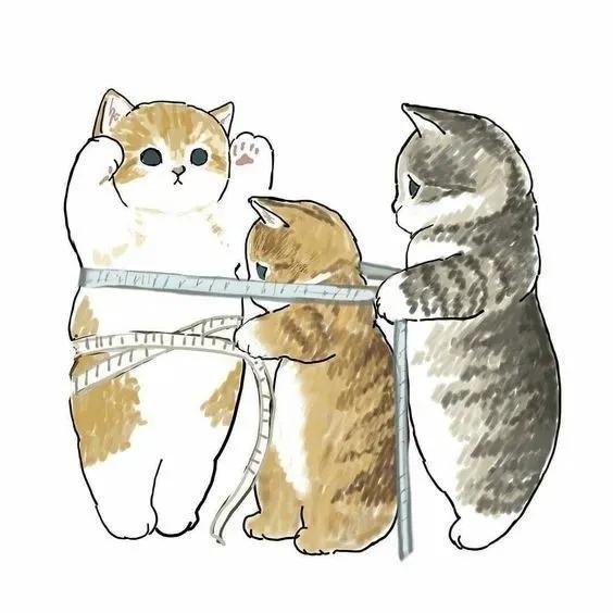 治癒系萌貓頭像第三波，日系清新可愛風