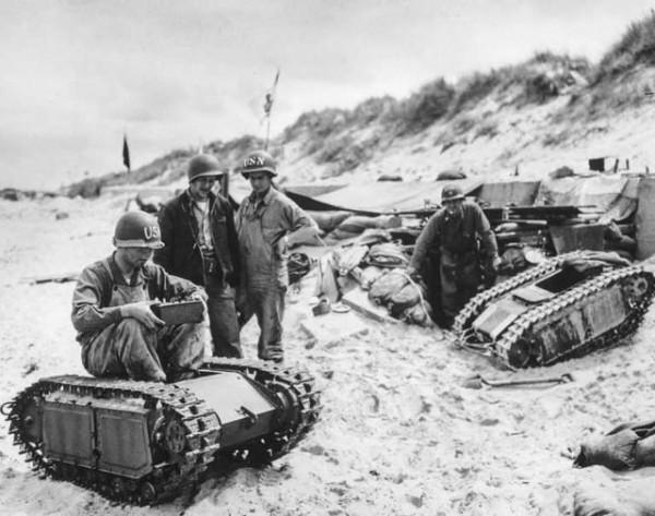 30張罕見的照片，袋鼠在雪地中瘋狂亂跑，老鼠們纏在一起變成鼠王