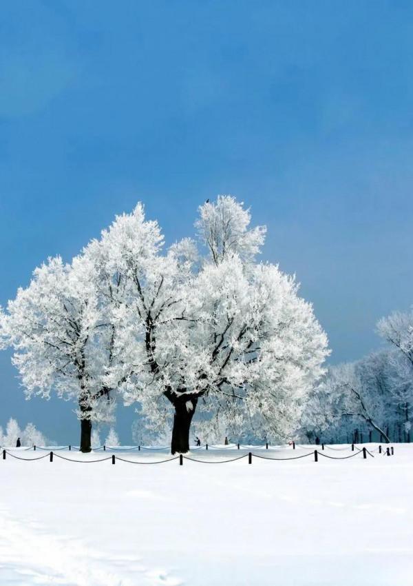 七絕 冬至 （平水韻）