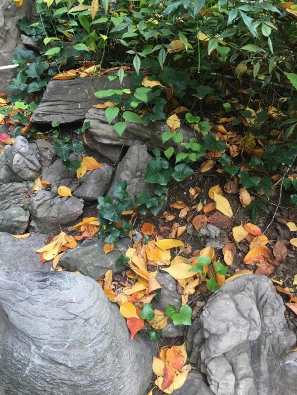 提升能量十大法門（十）