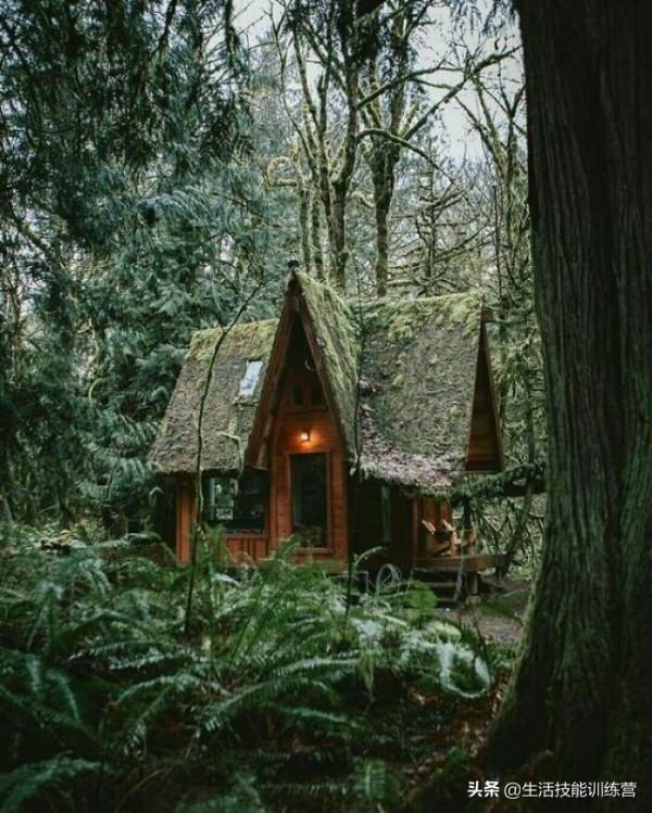 世界上最適合避世 50 間美麗小屋