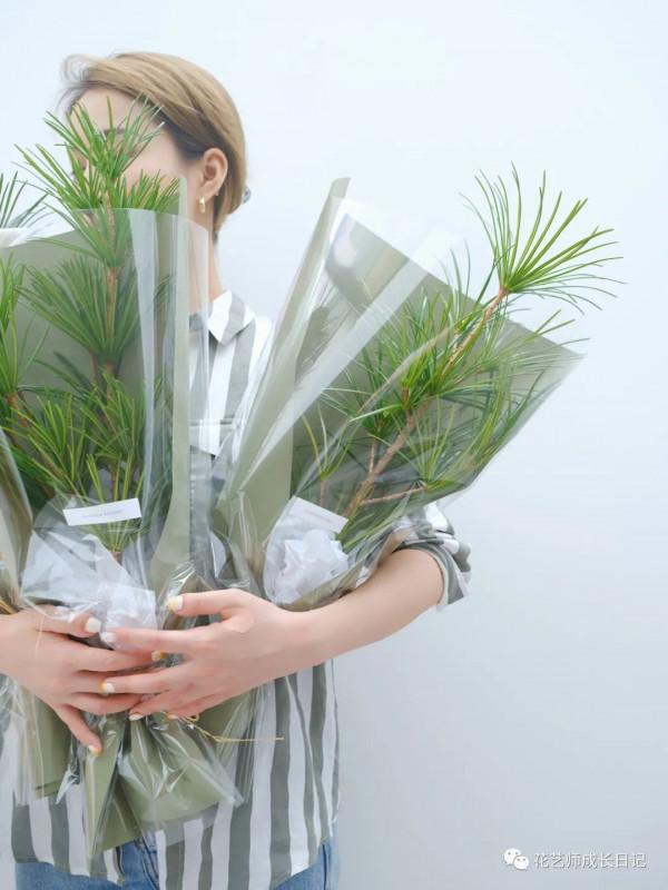 每日一花 | 日本金松,生活就要“放青松”~vol.14 每日一花 | 日本金松,生活就要“放青松”~vol.14