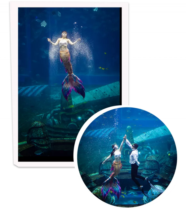 16小時不間斷 | 亞特歡樂中國年