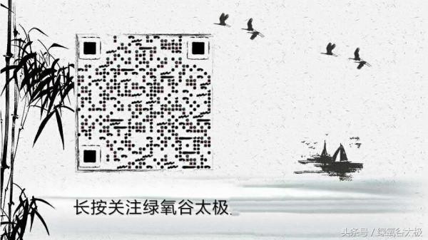 副谷主太極拳日記[1]