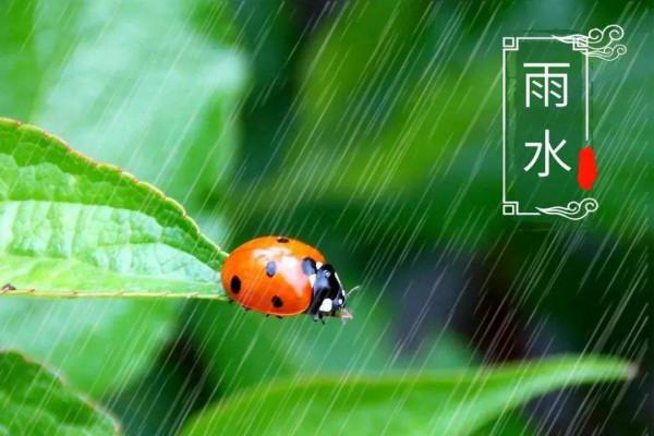 24節氣都意味著什麼，這一些你知道嗎？歡迎在下方評論？