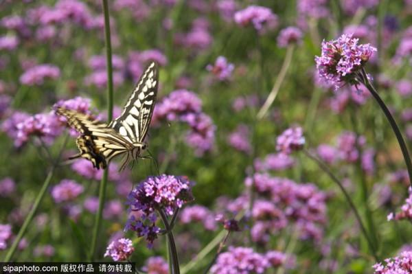 東西南北遊北京：一路向北