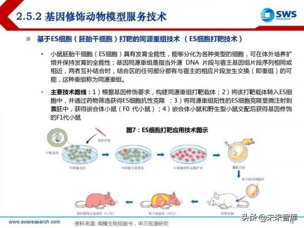 模式動物行業研究報告：創新需求開啟&OpenCurlyDoubleQuote;活試劑&rdquo;的廣闊天地