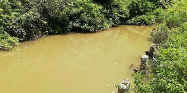 這是牢底坐穿魚嗎？嚇得我趕緊放生了