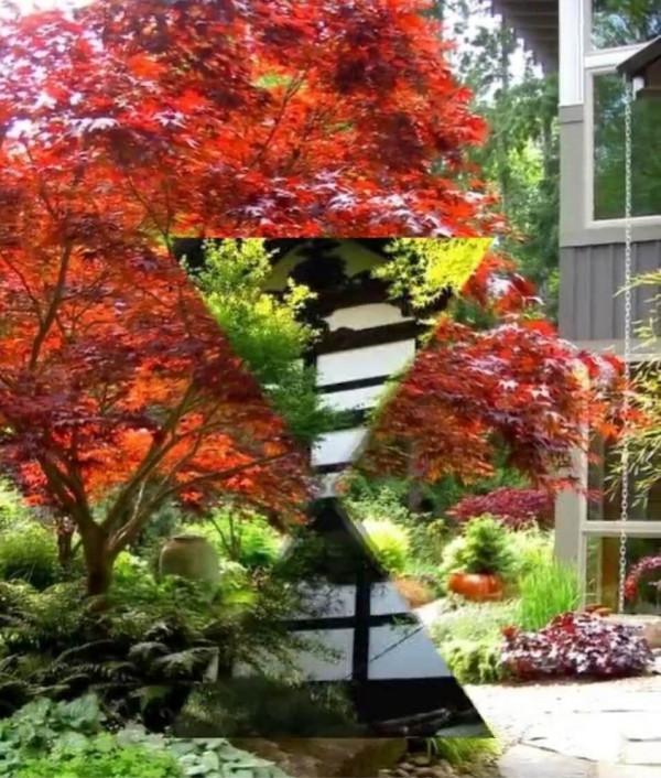 怎樣起個好名字 78 以色彩起名法