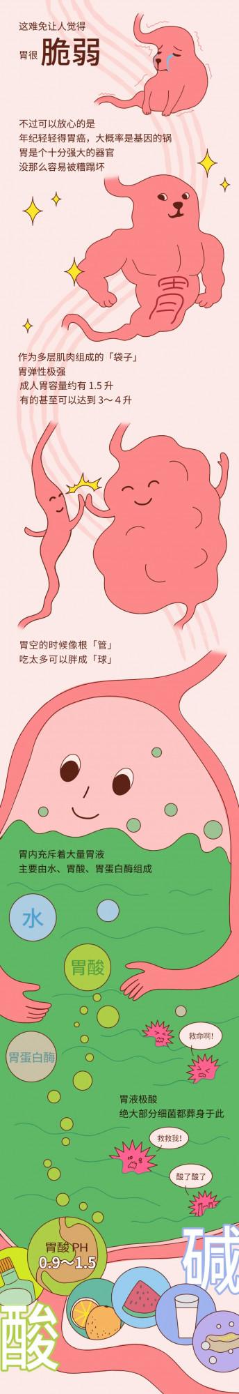 你的胃,就是這樣壞掉的 你的胃,就是這樣壞掉的