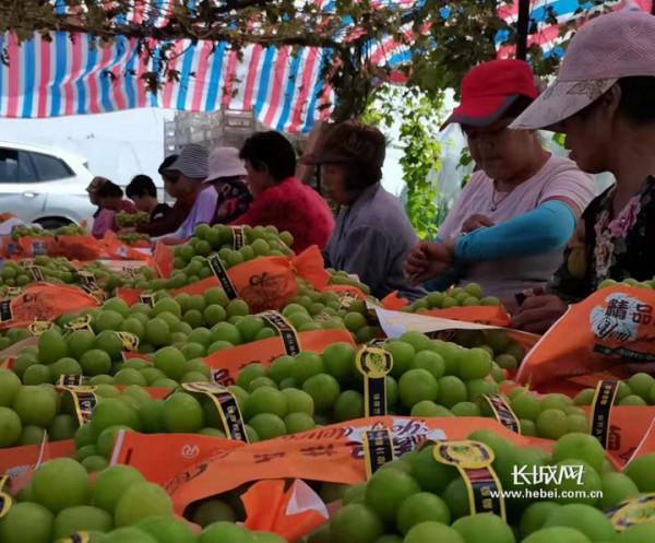 “貸”動小生意 服務大民生|農行河北省分行推出三款“小生意”貸款產品,快看看哪款適合你 “貸”動小生意 服務大民生|農行河北省分行推出三款“小生意”貸款產品,快看看哪款適合你