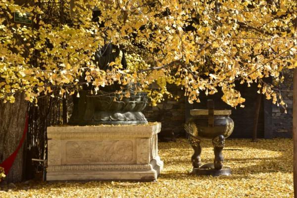 人生，多沉澱，何懼大器晚成？