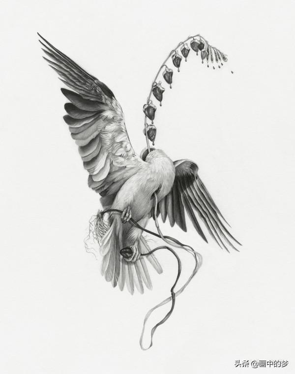 被羽毛包圍的鳥兒緊緊抓住他們流血的心 被羽毛包圍的鳥兒緊緊抓住他們流血的心