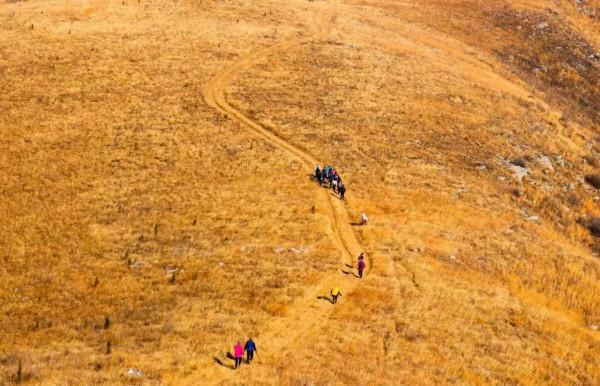 打卡河南最美的4個草原,帶你看不一樣的河南,三個都不收門票 打卡河南最美的4個草原,帶你看不一樣的河南,三個都不收門票