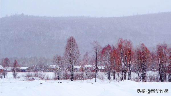 那年那月那婚姻 88 哪個老人不為子女操勞一輩子