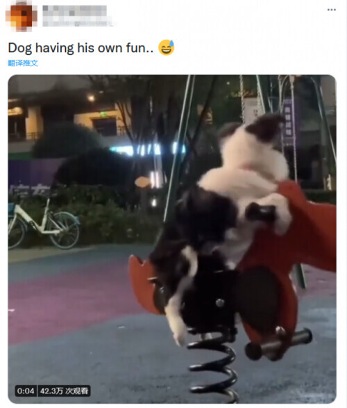 英國博主拿中國社保卡“釣魚”，反華賬號就興奮地上鉤了……