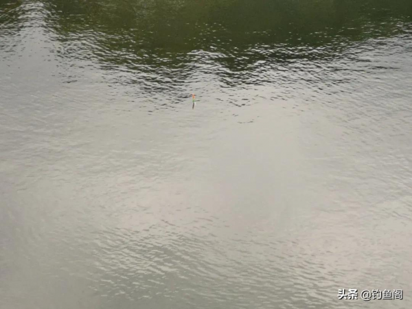 一個“加粗尾”都能爭論半天?想釣魚更舒服,總得付出點代價 一個“加粗尾”都能爭論半天?想釣魚更舒服,總得付出點代價