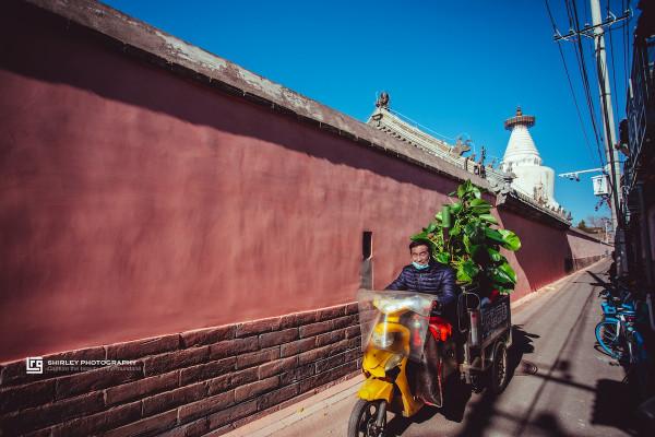 北京有座白塔，晴天也看不到影子，究竟是風水問題還是別有玄機？