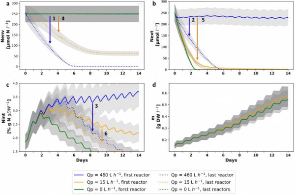 河口海藻養殖場可顯著降低氮濃度並防止環境汙染