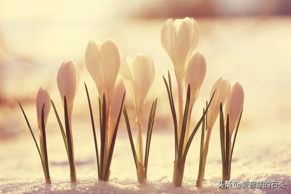 太過用力的人生,註定是一場空 太過用力的人生,註定是一場空