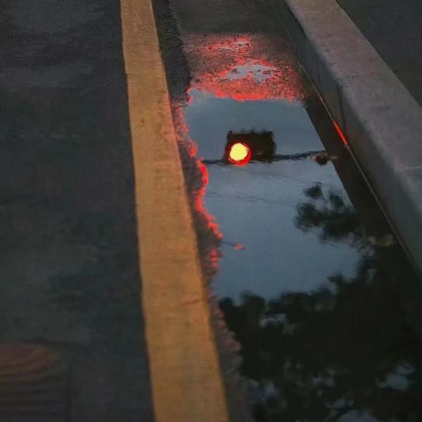 值得你摘抄下來的書摘