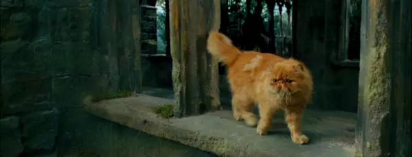 《哈利波特》赫敏的貓克魯克山是何來歷？它曾屬於波特一家？