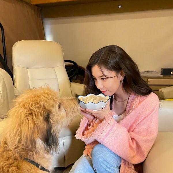 春節躺平指南:幹吃不胖是怎麼做到的? 春節躺平指南:幹吃不胖是怎麼做到的?