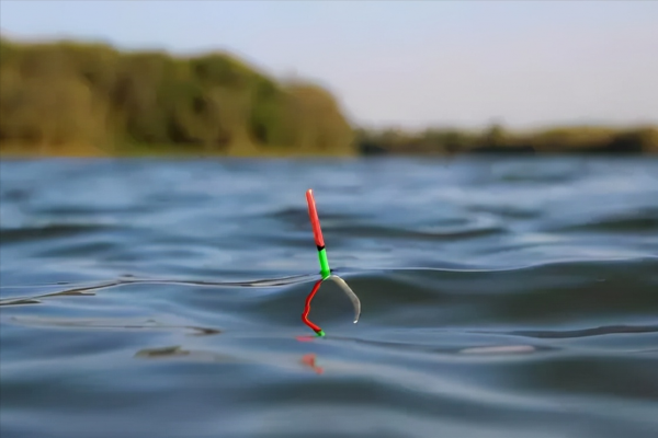 冬天釣魚出太陽就停口了？只是你選的釣位不對