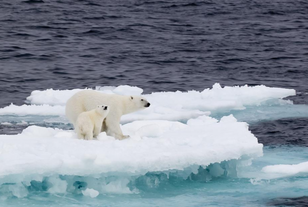 聯合國大會上，印度學者怒斥西方殖民主義，事後又對中國表示讚賞