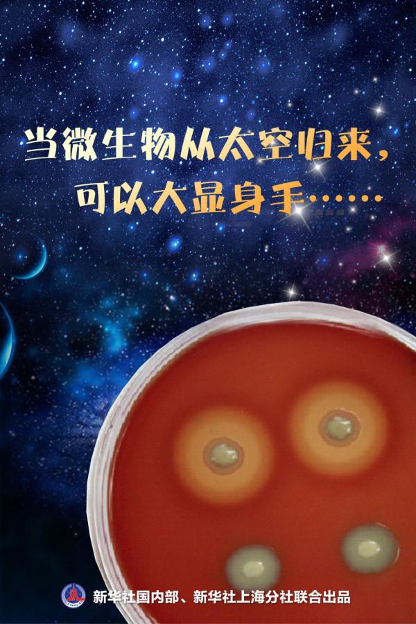 當微生物從太空歸來，可以大顯身手……