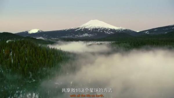 憋了這麼久，這是疫情後我最想去的地方