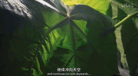 電影成真?再這麼下去,人類被自然災難吞噬就要成為現實 電影成真?再這麼下去,人類被自然災難吞噬就要成為現實