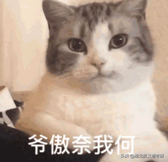 考研不扎堆，16所實力雙非院校推薦！難度相對較低，就業不輸985