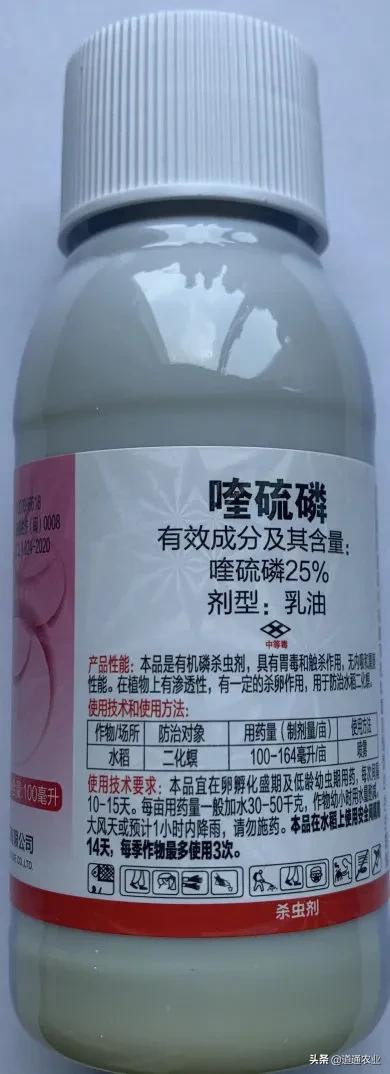 “顏值殺手”鏽壁蝨,防治記得要趁早 “顏值殺手”鏽壁蝨,防治記得要趁早