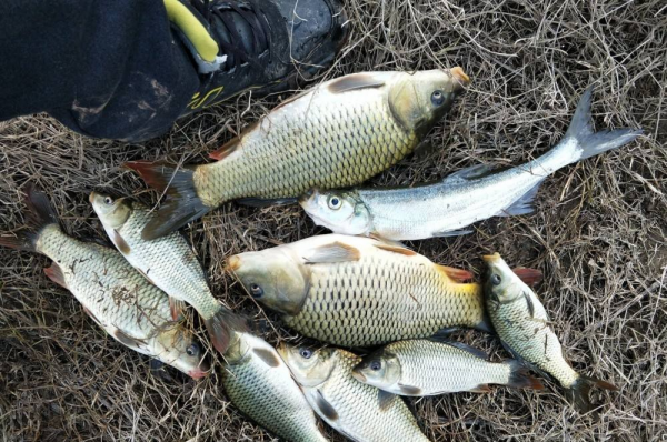 冬釣時調整釣組的4個小細節，魚口訊號至少放大5倍