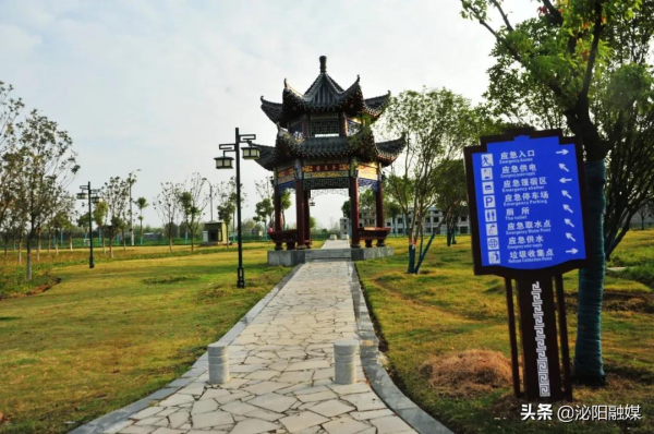 不可思議！已是深秋，月兒灣公園卻如此多彩，恰似夏日還未走遠